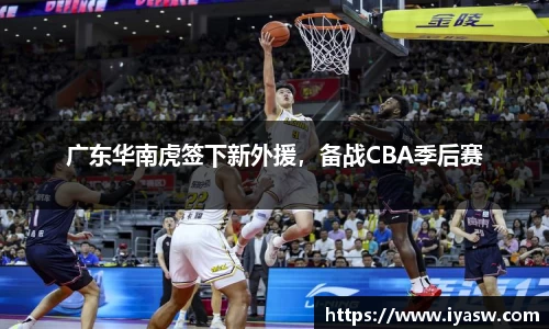 雷竞技官网平台