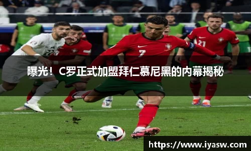 雷竞技官网平台