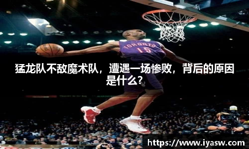雷竞技官网网址