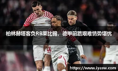 雷竞技官网平台