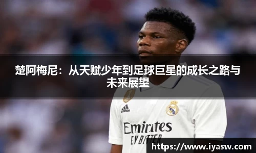 雷竞技官网平台